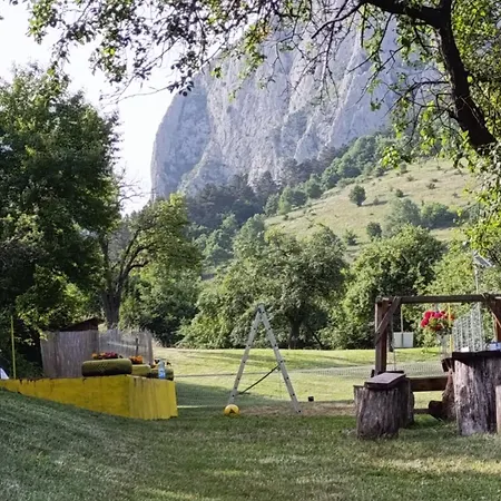캠프장 Glamping Vlad 아이우드