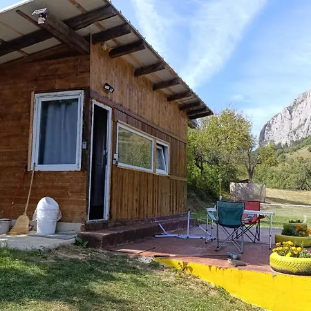 Glamping Vlad 캠프장 아이우드